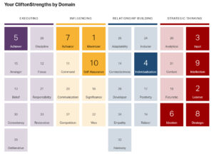 CliftonStrengths Review/Plan