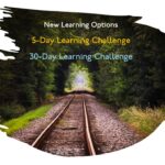 Learning Challenges